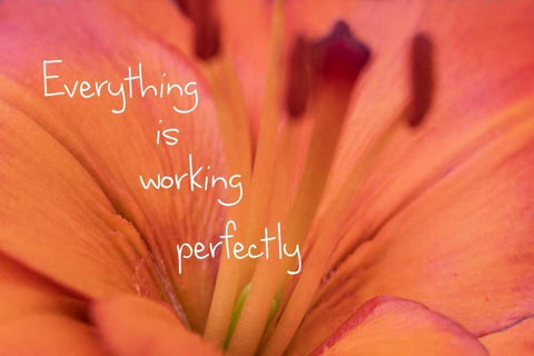 Working Perfectly White Modern Wood Framed Art Print with Double Matting by Murdock, Ramona