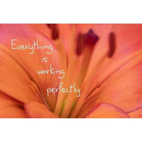 Working Perfectly Gold Ornate Wood Framed Art Print with Double Matting by Murdock, Ramona