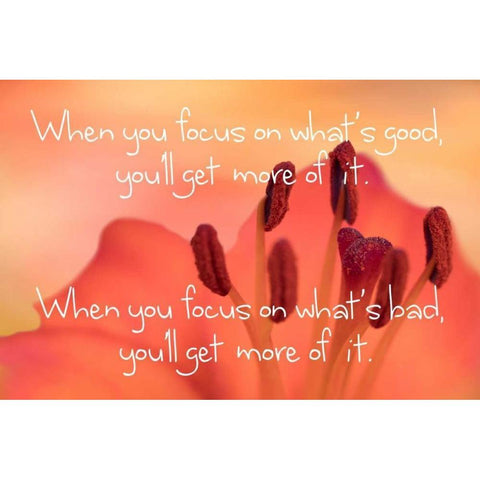 Focus on Good Black Modern Wood Framed Art Print with Double Matting by Murdock, Ramona