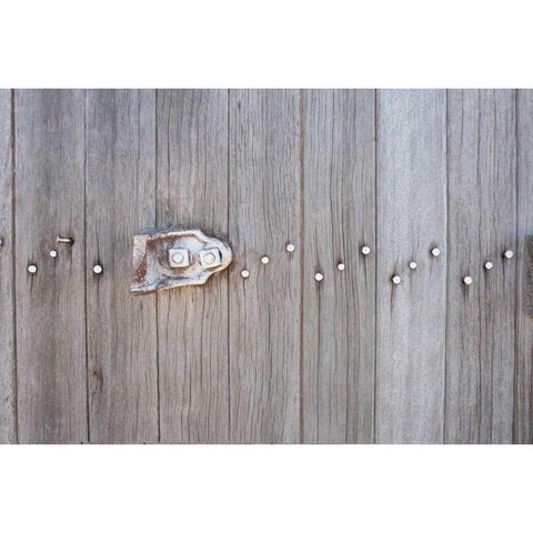 Weathered Wood and Iron Gold Ornate Wood Framed Art Print with Double Matting by Murdock, Ramona