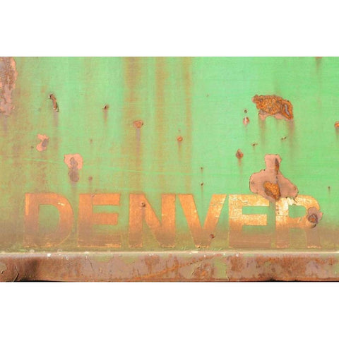 Denver Rustic White Modern Wood Framed Art Print by Murdock, Ramona