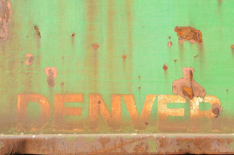 Denver Rustic Black Ornate Wood Framed Art Print with Double Matting by Murdock, Ramona