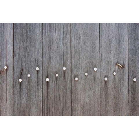 Weathered Wood Black Modern Wood Framed Art Print with Double Matting by Murdock, Ramona