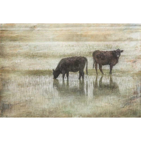 Grazin in the Pond Black Modern Wood Framed Art Print with Double Matting by Murdock, Ramona