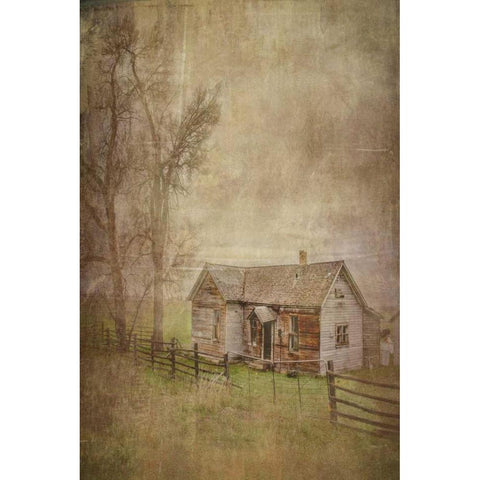 Old Homestead White Modern Wood Framed Art Print by Murdock, Ramona