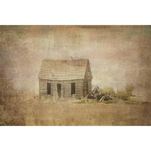 Abandoned White Modern Wood Framed Art Print by Murdock, Ramona