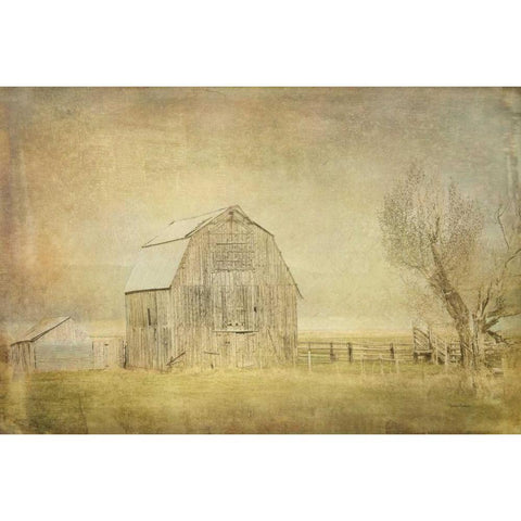 Vintage Barn White Modern Wood Framed Art Print by Murdock, Ramona