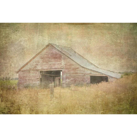 Tractor Barn Gold Ornate Wood Framed Art Print with Double Matting by Murdock, Ramona