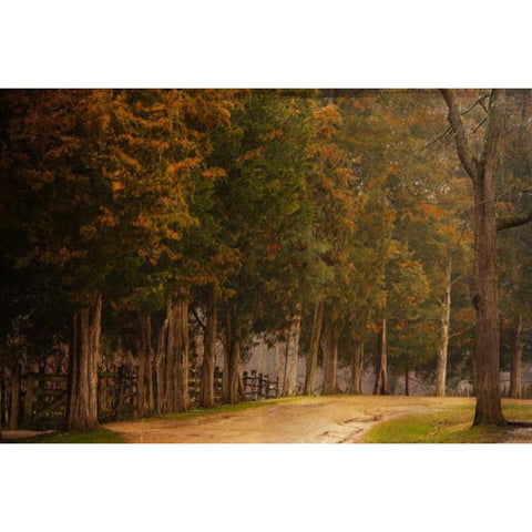 A Road Less Traveled Black Modern Wood Framed Art Print with Double Matting by Murdock, Ramona