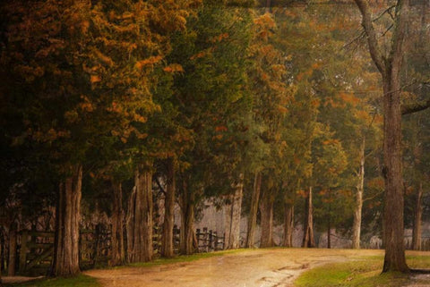 A Road Less Traveled White Modern Wood Framed Art Print with Double Matting by Murdock, Ramona