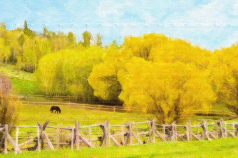 Golden Pasture Black Ornate Wood Framed Art Print with Double Matting by Murdock, Ramona