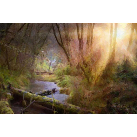 Light Burst Gold Ornate Wood Framed Art Print with Double Matting by Murdock, Ramona