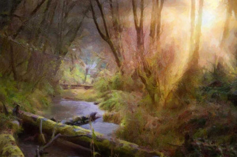 Light Burst White Modern Wood Framed Art Print with Double Matting by Murdock, Ramona