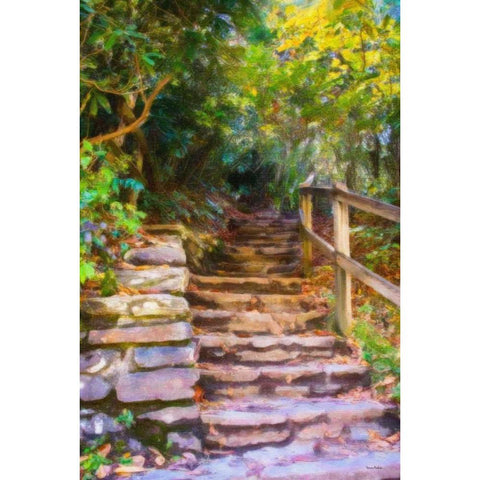 Rocky Steps Black Modern Wood Framed Art Print by Murdock, Ramona