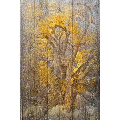 Autumn Tree Gold Ornate Wood Framed Art Print with Double Matting by Murdock, Ramona