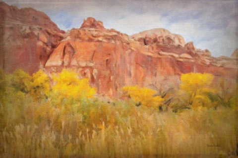 Southwest Splendor White Modern Wood Framed Art Print with Double Matting by Murdock, Ramona