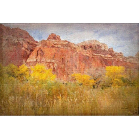 Southwest Splendor Black Modern Wood Framed Art Print with Double Matting by Murdock, Ramona