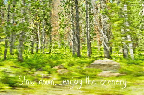 Slow Down Black Ornate Wood Framed Art Print with Double Matting by Murdock, Ramona