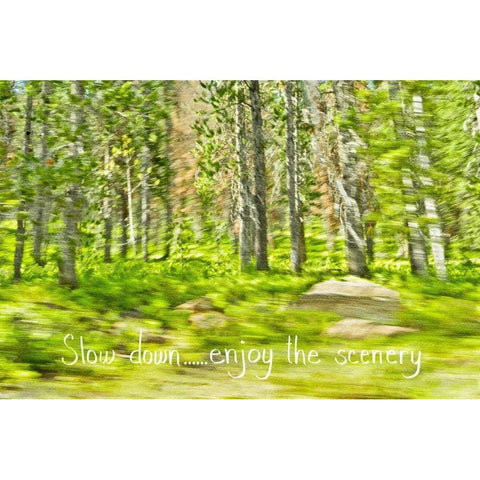 Slow Down Black Modern Wood Framed Art Print by Murdock, Ramona