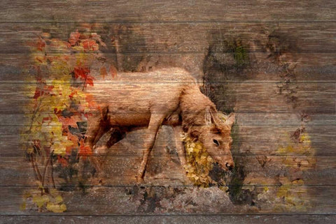 Deer in Paradise White Modern Wood Framed Art Print with Double Matting by Murdock, Ramona