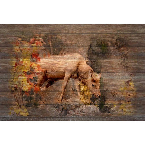 Deer in Paradise White Modern Wood Framed Art Print by Murdock, Ramona