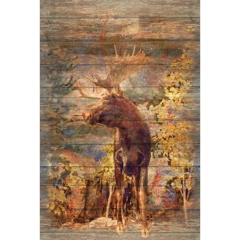 Majestic Moose White Modern Wood Framed Art Print by Murdock, Ramona
