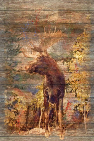 Majestic Moose White Modern Wood Framed Art Print with Double Matting by Murdock, Ramona
