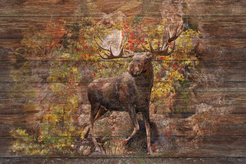 Moose Meadow White Modern Wood Framed Art Print with Double Matting by Murdock, Ramona