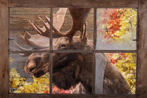 Theres a Moose at the Window Black Ornate Wood Framed Art Print with Double Matting by Murdock, Ramona