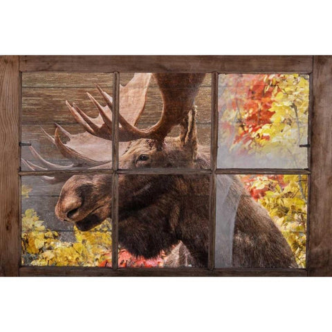 Theres a Moose at the Window Black Modern Wood Framed Art Print with Double Matting by Murdock, Ramona