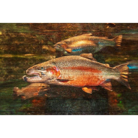 A Good Day to Be a Salmon White Modern Wood Framed Art Print by Murdock, Ramona