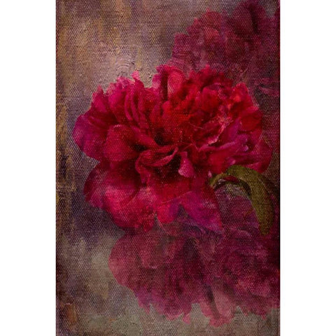 Tapestry Rose Black Modern Wood Framed Art Print by Murdock, Ramona