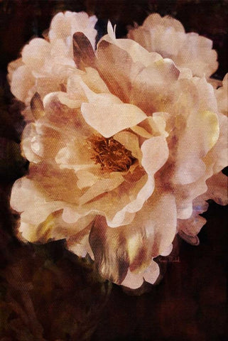 White Beauty White Modern Wood Framed Art Print with Double Matting by Murdock, Ramona