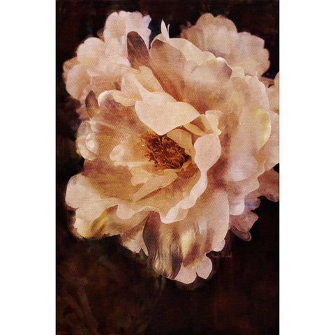 White Beauty Gold Ornate Wood Framed Art Print with Double Matting by Murdock, Ramona