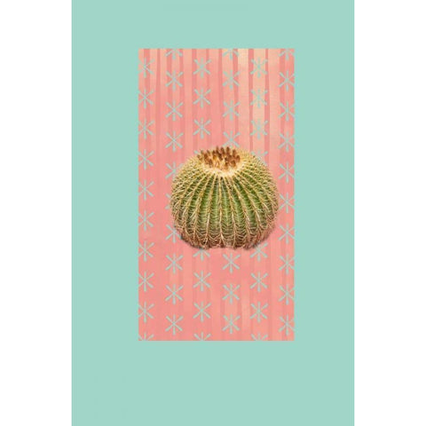 Barrel Cactus White Modern Wood Framed Art Print by Murdock, Ramona