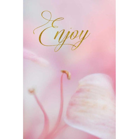 Enjoy Black Modern Wood Framed Art Print by Murdock, Ramona