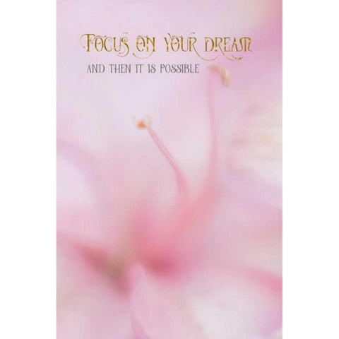 Focus on Your Dream Black Modern Wood Framed Art Print with Double Matting by Murdock, Ramona