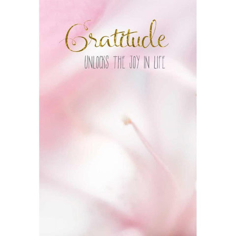 Gratitude Unlocks the Joy Gold Ornate Wood Framed Art Print with Double Matting by Murdock, Ramona