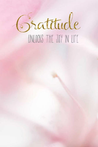 Gratitude Unlocks the Joy Black Ornate Wood Framed Art Print with Double Matting by Murdock, Ramona