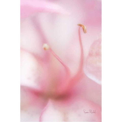 Softness Black Modern Wood Framed Art Print with Double Matting by Murdock, Ramona