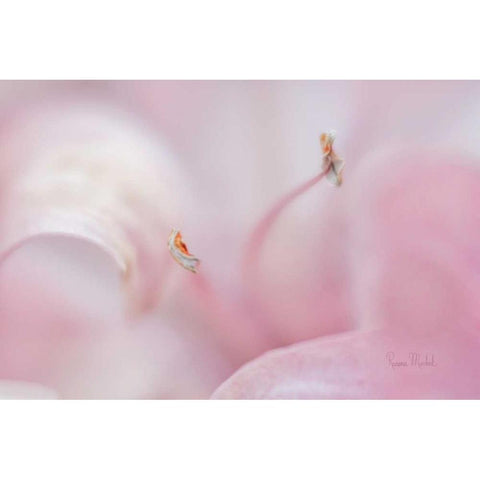 Drifting in a Dream Black Modern Wood Framed Art Print by Murdock, Ramona