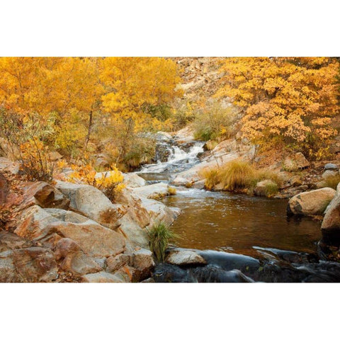 Fall Creek Black Modern Wood Framed Art Print by Murdock, Ramona