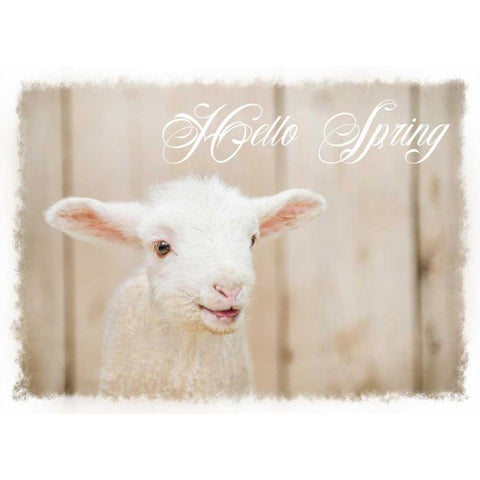 Hello Spring Lamb Black Modern Wood Framed Art Print with Double Matting by Murdock, Ramona