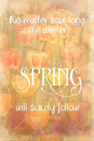 Spring Will Follow White Modern Wood Framed Art Print with Double Matting by Murdock, Ramona