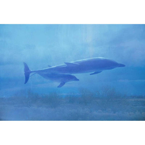 Dolphin and Baby Adventure Black Modern Wood Framed Art Print by Murdock, Ramona