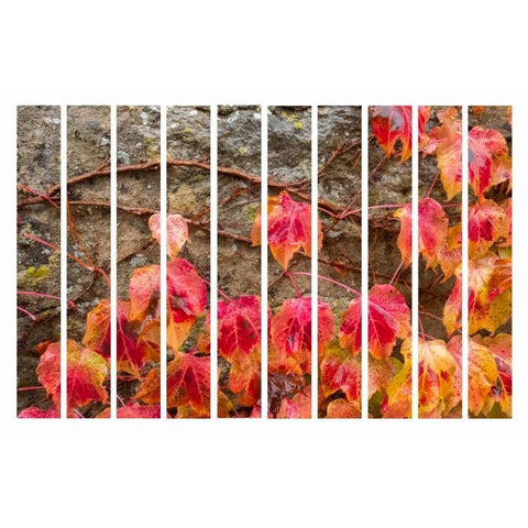 Fall Leaves Black Modern Wood Framed Art Print with Double Matting by Murdock, Ramona