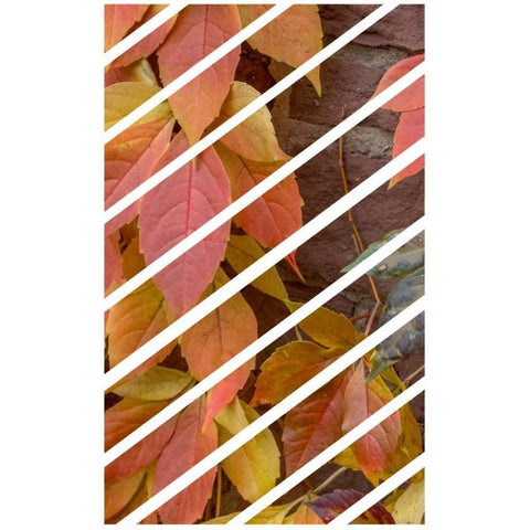 Ivy Leaves Black Modern Wood Framed Art Print by Murdock, Ramona