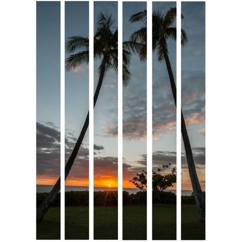 South Pacific Sunset Black Modern Wood Framed Art Print by Murdock, Ramona