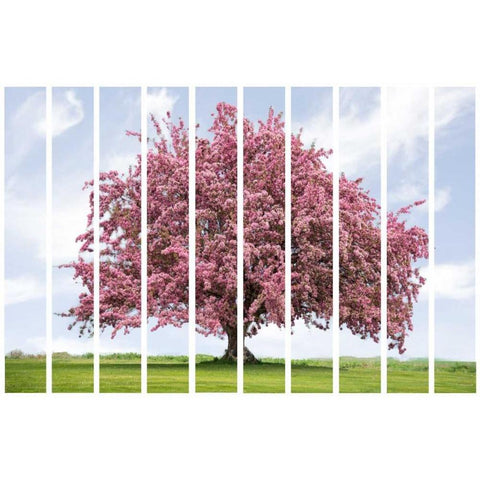 Spring Blossoms Black Modern Wood Framed Art Print by Murdock, Ramona