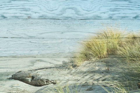 Beach Grass Black Ornate Wood Framed Art Print with Double Matting by Murdock, Ramona